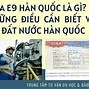 Diện Visa E9 Là Gì