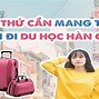 Đồ Cần Mang Khi Đi Du Học Hàn Quốc