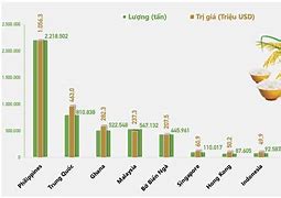 Lượng Gạo Xuất Khẩu Của Việt Nam Năm 2020 Là