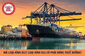 Xuất B11 Có Được Hoàn Thuế Không